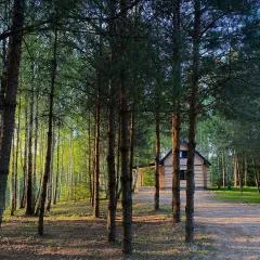 Leśne Klimaty