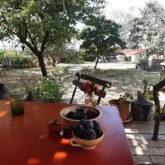 La maison de Frida