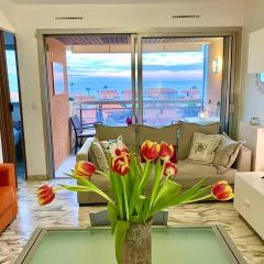 2 room flat with sea view, private parking, swimming pool, and AC