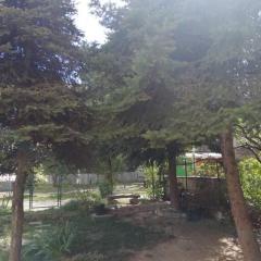 Cozy apartment in Vračar +garden