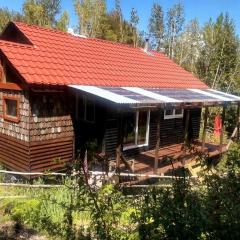 Cabaña en plena selva patagónica, cerca del pueblo