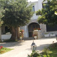 Licul Modern retreat