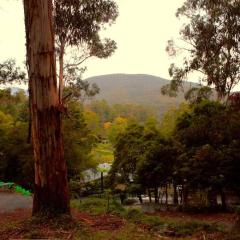 Kookaburra's Perch