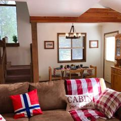 Norwegian Cabin Charming 3 BDR with Forest Views