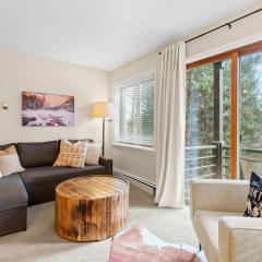 Modern 1 BDR Mountain Escape Stunning Location