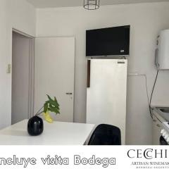 Complejo Wine Maipu: Piscina, Parrilla, Bicis