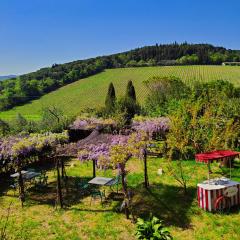 apartment with relaxing view in Badia a Passignano, Chianti, Tuscany