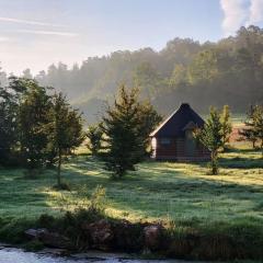 Kota en pleine campagne avec SPA