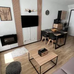 Studio la Mongie Tourmalet 2 étoiles 4 couchages
