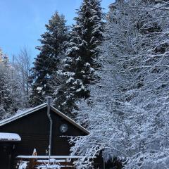 Chalet cosy proche de Gérardmer et Colmar - Nature, WIFI, 2 chambres, terrasse, garage - FR-1-589-306