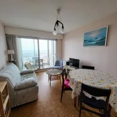 T2 avec loggia, parking, à 300m de la plage - FR-1-92-898