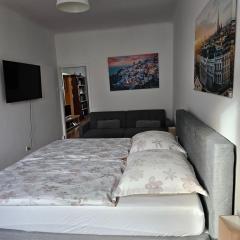 Vienna Center,private zimmer, !