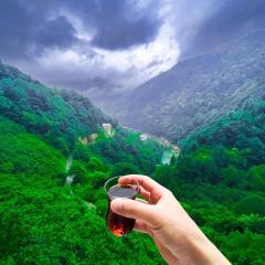 Uzungöl’e Yakın Doğadaki Eviniz