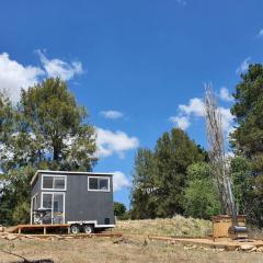 Red Gum at Aranya Acres