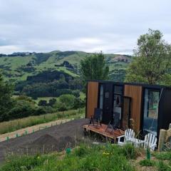 Kukupa Puni at Akaroa Lavender