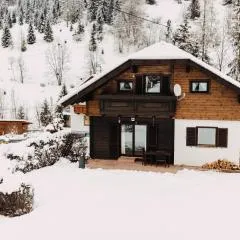 Chalet Familie Mertel in Ebene Reichenau