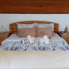 Vila Lenka Sokobanja