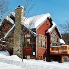 Chalets Alpins -31 Chemin des Skieurs
