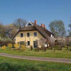 Tolles Ferienhaus in Poseritz mit Garten, Terrasse und Grill