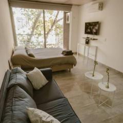 Apartment in the historic San Telmo neighborhood