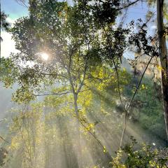 Firefly Cottage Bandarawela