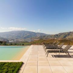 Luxury Vineyard Home with Infinity Pool in Douro Valley