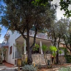 APARTMANI IVANIŠEVIĆ