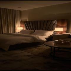 أستديو بدخول ذكي حي الربوة