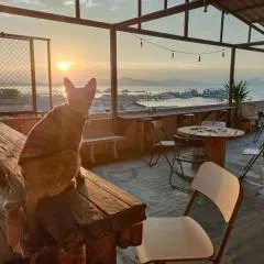 Sattahiptale Boutique Guesthouse & Hostel