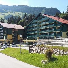 Alpine Apartment Schladming