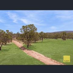 Jabiru (Stork) Wetland Farmstay