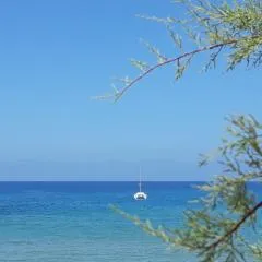 Appartamento Panoramico con due terrazze vista sul mare - IUN P5019