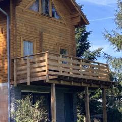 Chalet Mon beau sapin