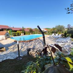 Poolside compact family cottage Blum