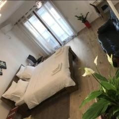 Studio apartment 4 - PAZARIiRI