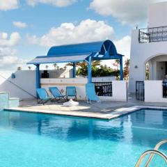 Spacious villa with private pool in Djerba