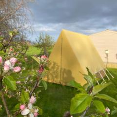 Glamping Tent at Abbey Green Farm
