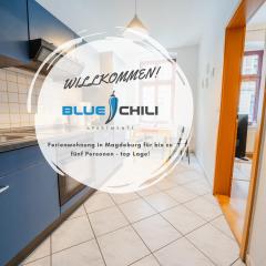 Blue Chili 08 - Magdeburg 2-Zimmer Altbau, Wi-Fi, 5 Pax