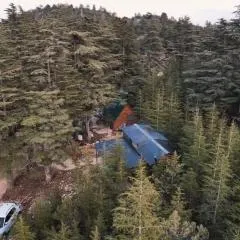 Cedrus life bungalov tesisi