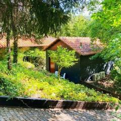 Studio with lake view shared pool and enclosed garden at Santa Cruz do Douro