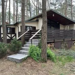 Domek letniskowy "Wiewiórka"
