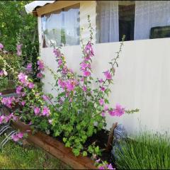 grand mobil home domaine La Lande