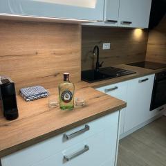 Two Bedroom Split Center Apartment Zvonimir