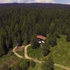 Spacious holiday home with mountain views