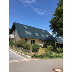 Wood in Zempin Usedom