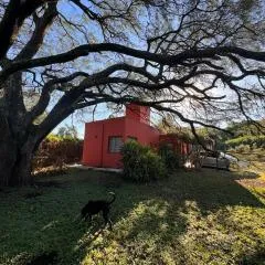 La casita anaranjá