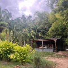 Whispering Palms, Luxury Tiny Home