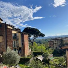 Appartamento - Paolo Mascagni-Centro Storico