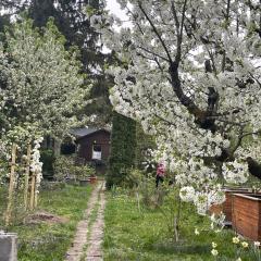 Fußball-Hochburg! Gartenparadies für Campen/Zelten