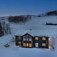 Hodlekvevegen 301, Ski inn/ut